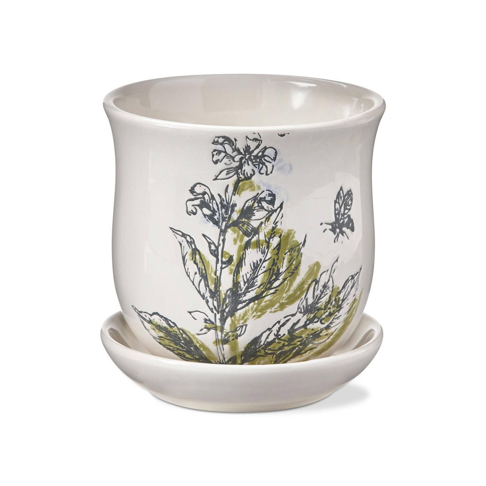 Sage Planter - Village Floral Designs and Gifts